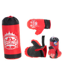 Boxing bag and gloves...