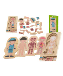 Wooden layered puzzle montessori body building boy