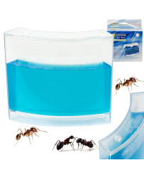 Educational gel aquarium for ants