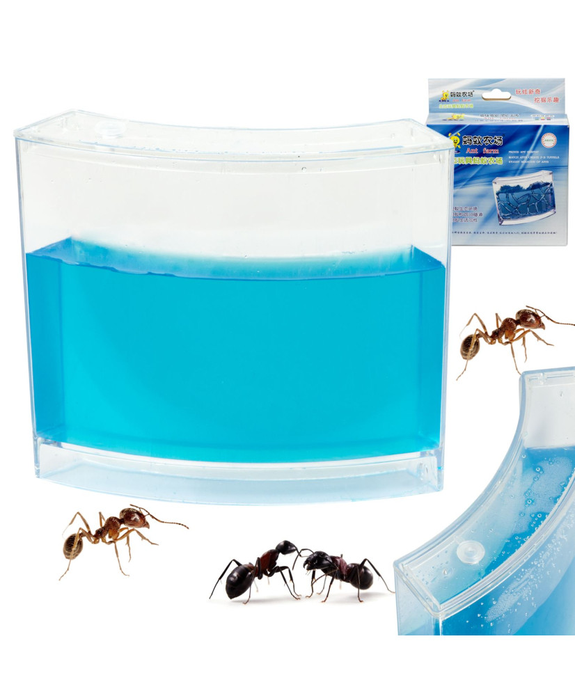 Educational gel aquarium for ants