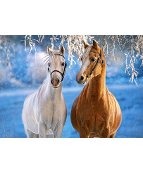 CASTORLAND Puzzle 260el. The winter Horses