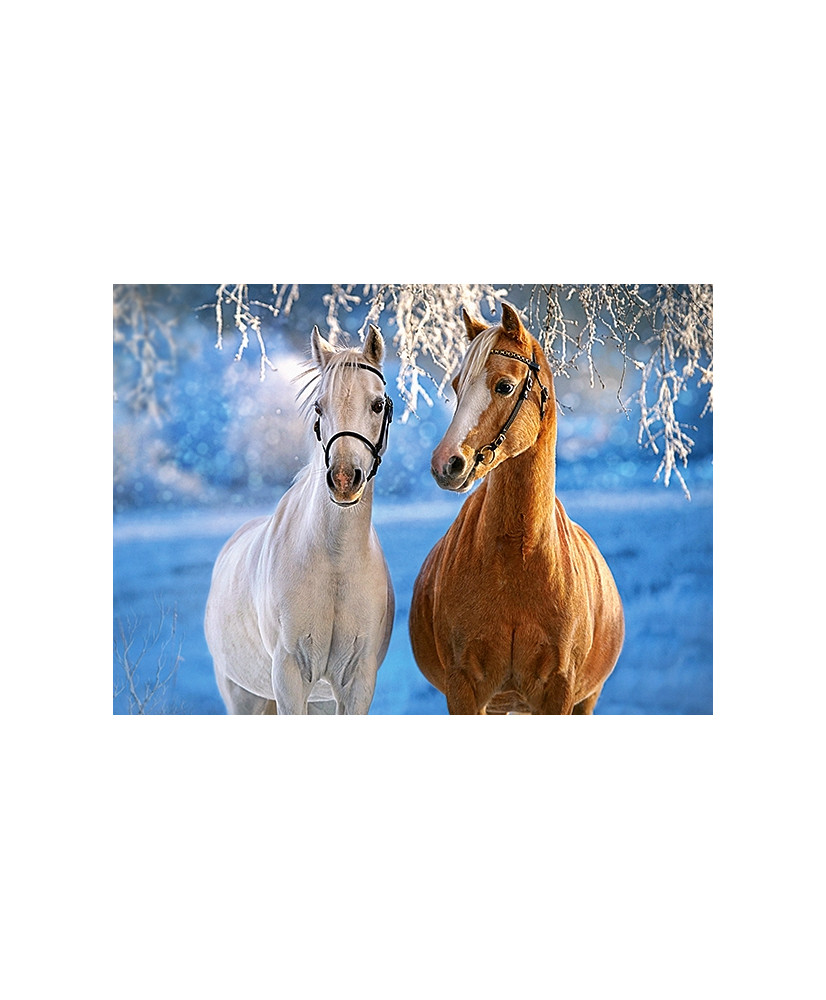 CASTORLAND Puzzle 260el. The winter Horses