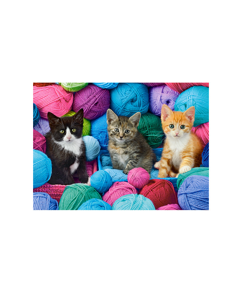 CASTORLAND Puzzle 300el. Kittens in Yarn Store - Kittens in balls of wool