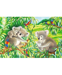 Ravensburger Puzzle 2x24 pc Sweet Koalas and Pandas