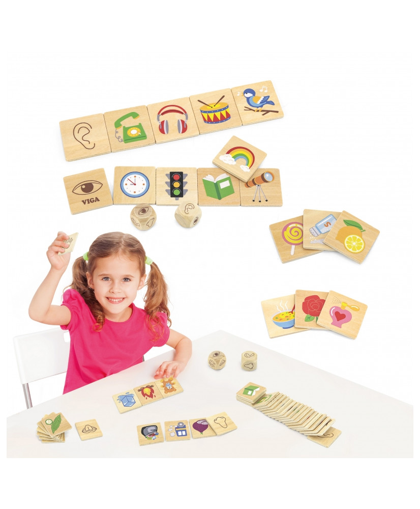 VIGA Izglītojošā spēle Mācību puzle Šķirošanas sajūtas 37 gab. Montessori