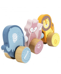 Wooden toys for pets Viga Toys Montessori school