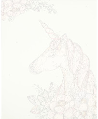 Image painting by numbers 40x50cm unicorn