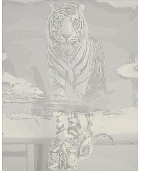 Image painting by numbers 40x50cm cat and tiger