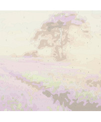 Image painting by numbers 50x40cm lavender field