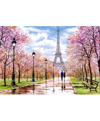 CASTORLAND Puzle 1000 elementi Romantiska pastaiga Parīzē Romantiska pastaiga Parīzē 68x47cm