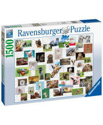Ravensburger Puzzle 1500 pc Funny Animals Kolaža