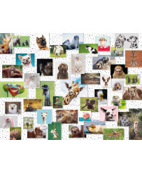 Ravensburger Puzzle 1500 pc Funny Animals Kolaža