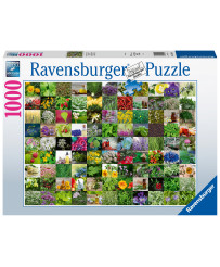 Ravensburger Puzzle 1000 pc 99 Zāles un garšvielas