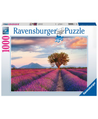 Ravensburger Puzzle 1000 pc Lavanda laukums