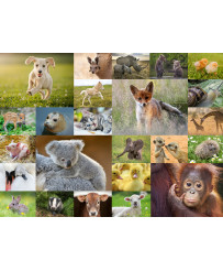 Ravensburger Puzzle 200 pc Bērnu dzīvnieki