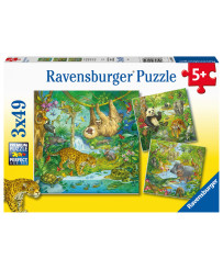 Ravensburger Puzzle 3x49 pc Jungle Fun