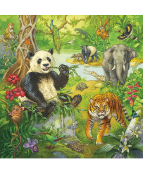 Ravensburger Puzzle 3x49 pc Jungle Fun