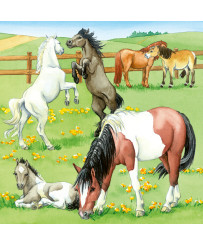 Ravensburger Puzzle 3x49 pc Horses