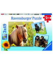 Ravensburger Puzzle 3x49 pc Mīloši zirgi