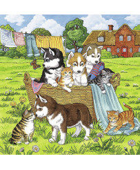 Ravensburger Puzzle 3x49 pc Cats and Dogs