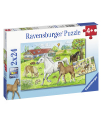 Ravensburger Puzzle 2x24 pc zirgi