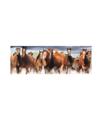 Dino panoramic puzzle 150 pcs Horses