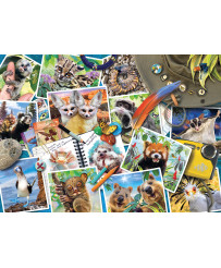 Ravensburger Puzzle 1000 pc ceļotāja fotoalbums