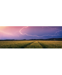 Ravensburger Summer Thunderstorm