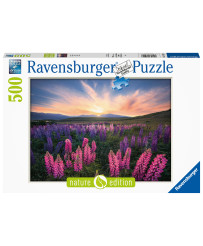 Ravensburger Puzzle 500 pc Lupines
