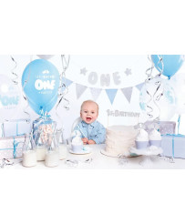 Silver party decorations - 1st Birthday set