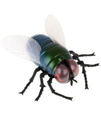 RC remote controlled fly + remote control